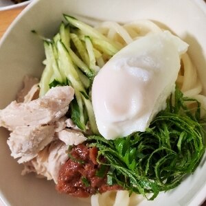 梅風味さっぱりぶっかけうどん